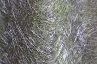 Church Mayfield fibreglass roof work